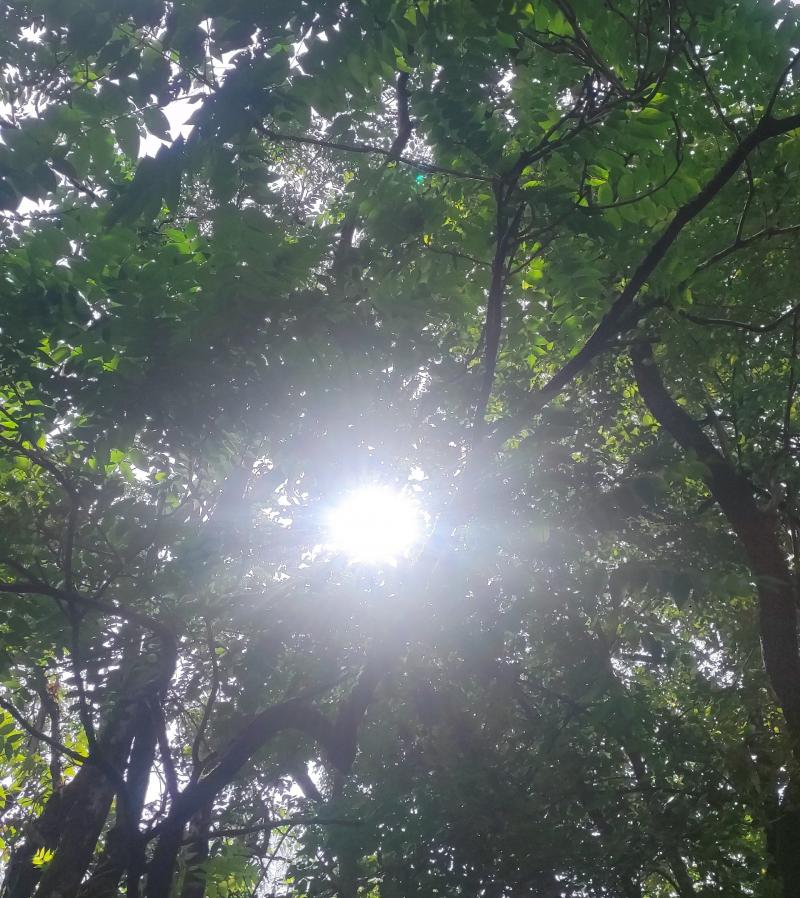 natura meravigliosa baciata dai raggi del sole. i miei attimi speciali adry