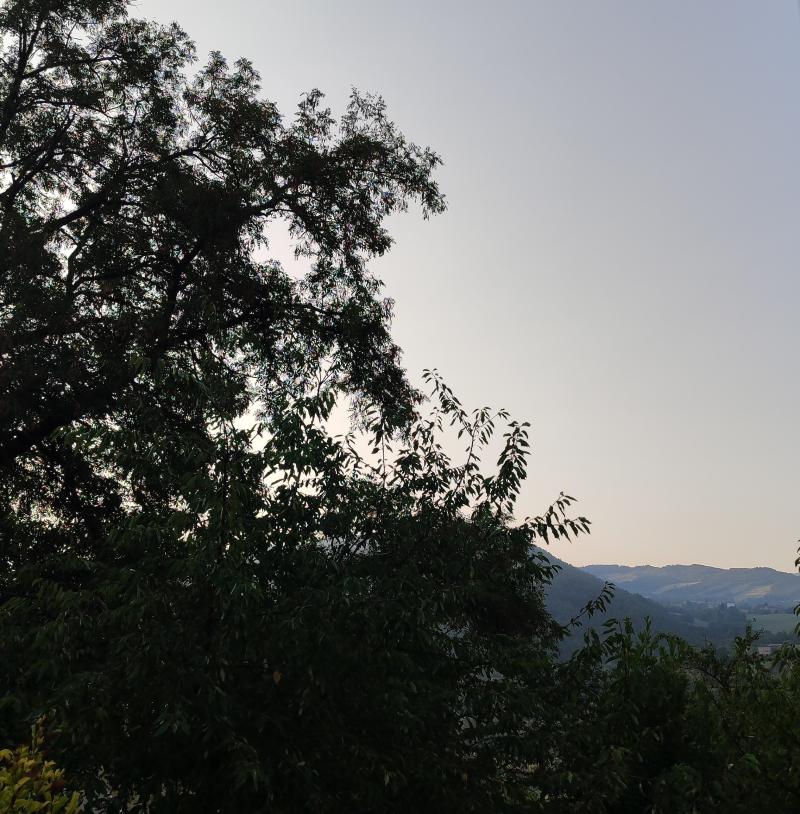 prepariamoci ad un altra di caldo estremo