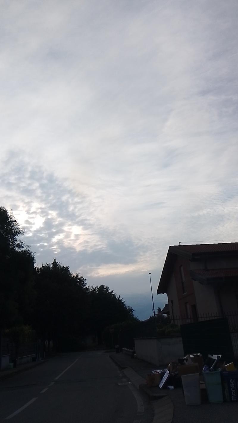 Ore 7.41
