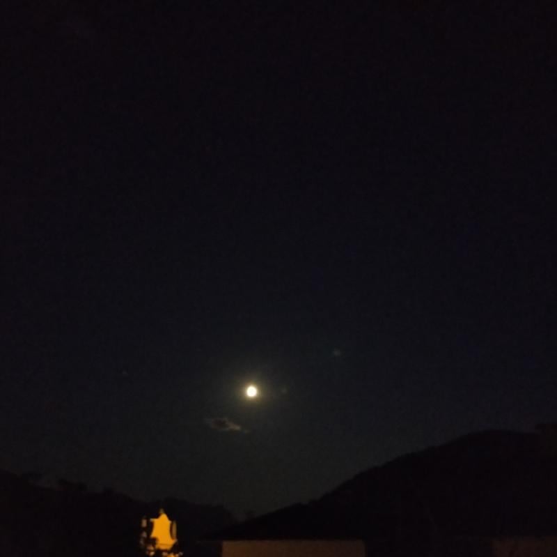 Fotosegnalazione di Praso