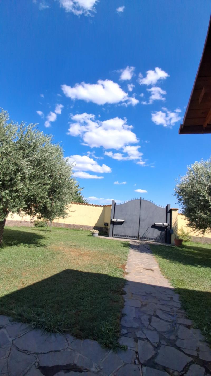 Areggiato