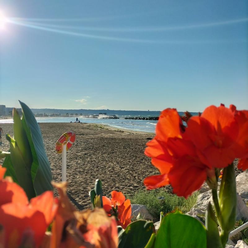 Fotosegnalazione di Marina di montenero