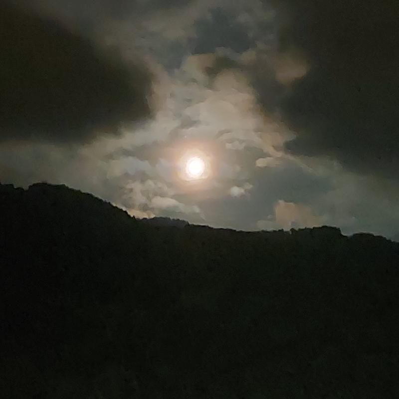 buonanotte