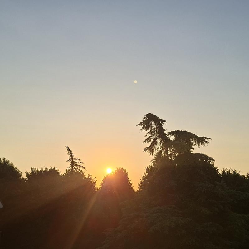 Buongiorno