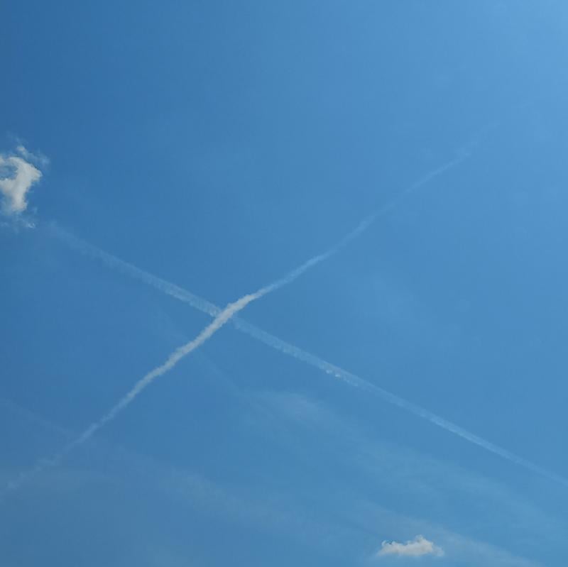 cielo