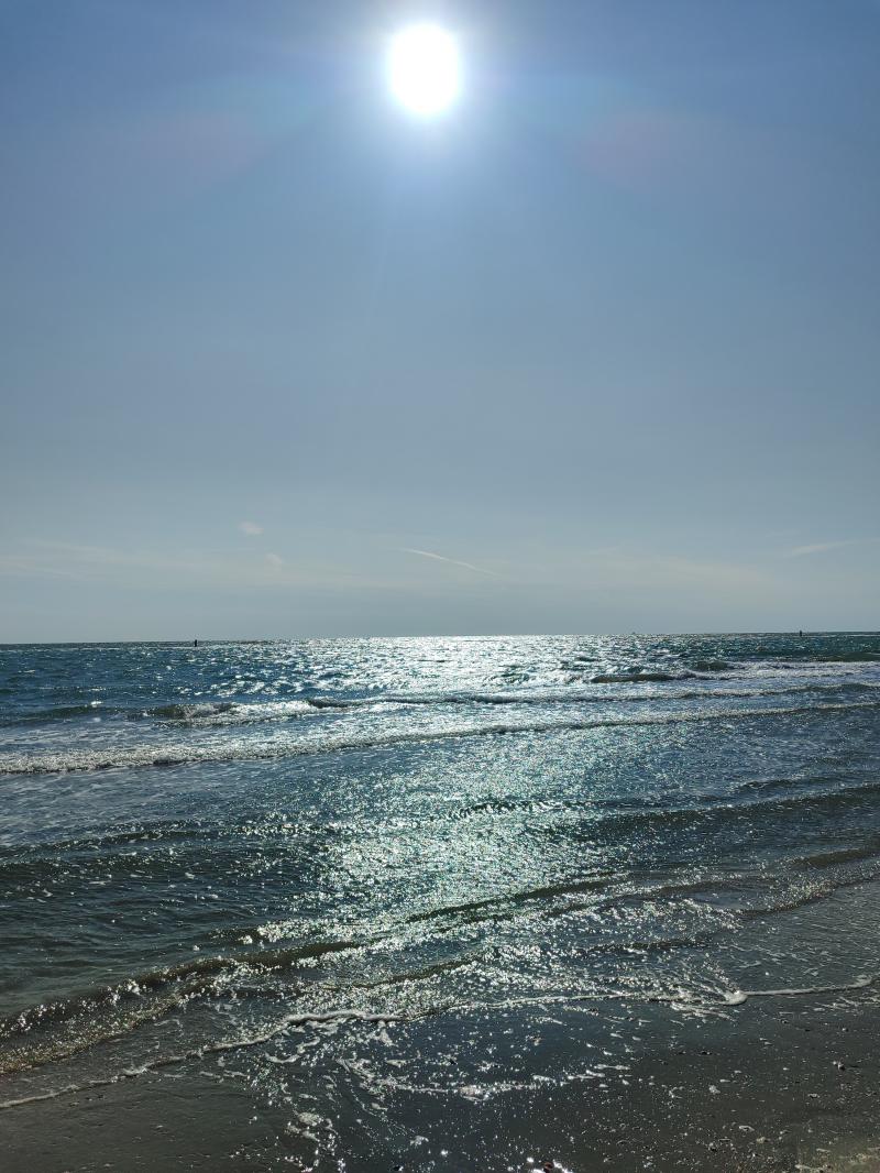 cielo velato