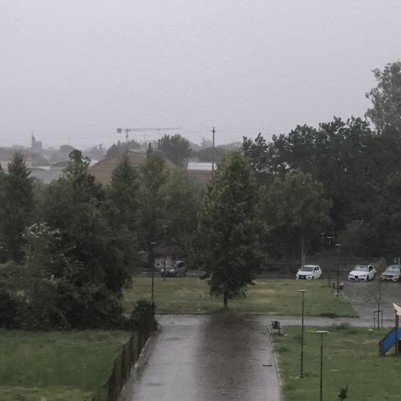 Fotosegnalazione di Forli' ridolfi