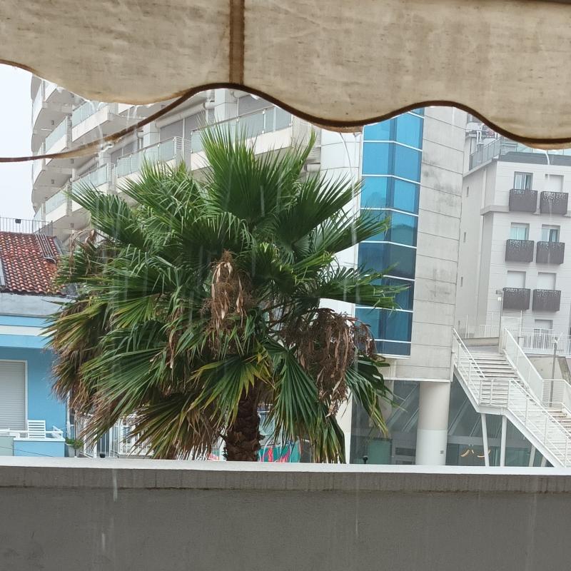 Fotosegnalazione di Cattolica