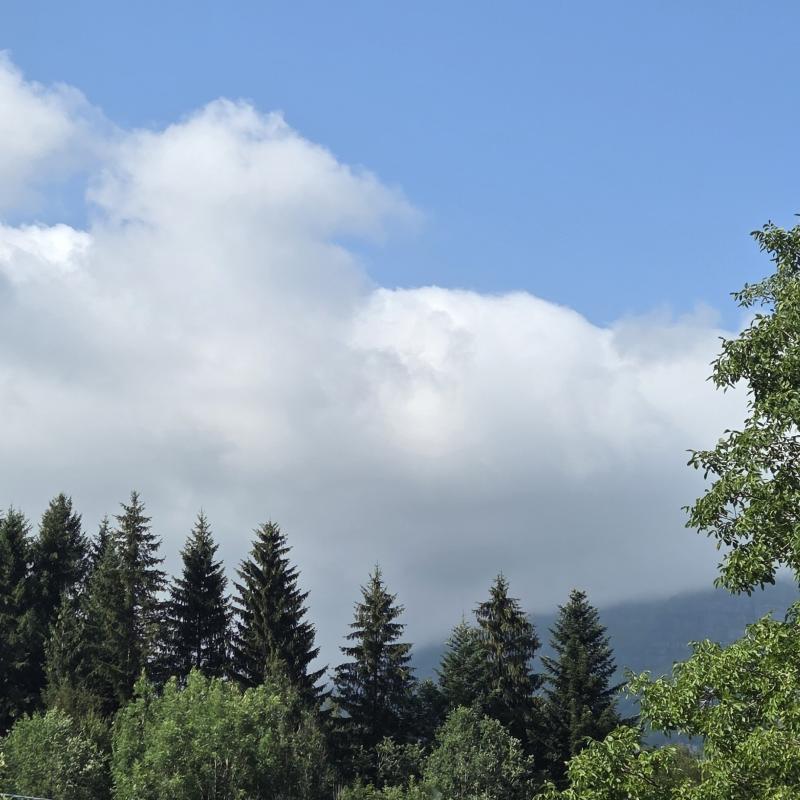 Monte giovo