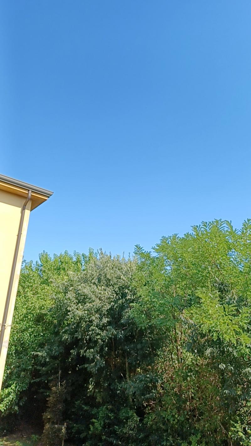 Cielo azzurro niente temporale alle 11 come da previsione di ieri
