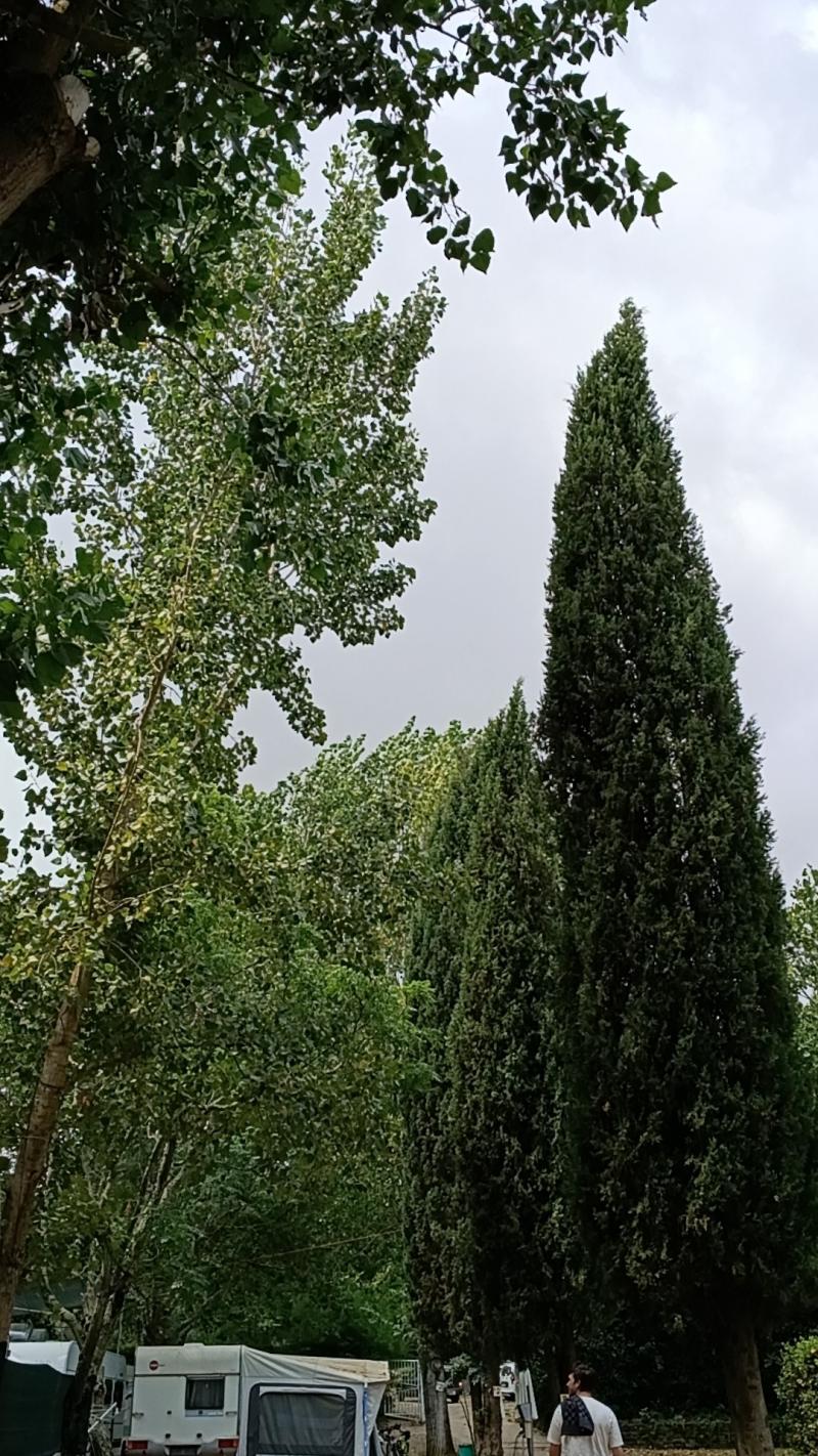 Vento forte e nuvole a Bracciano