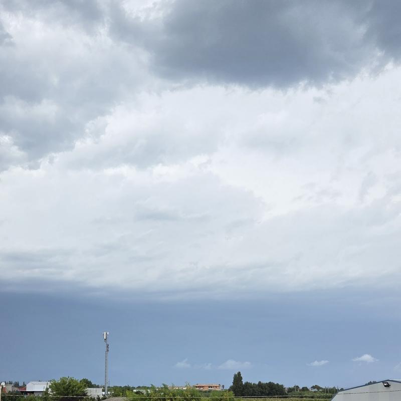 Fotosegnalazione di Cologna spiaggia