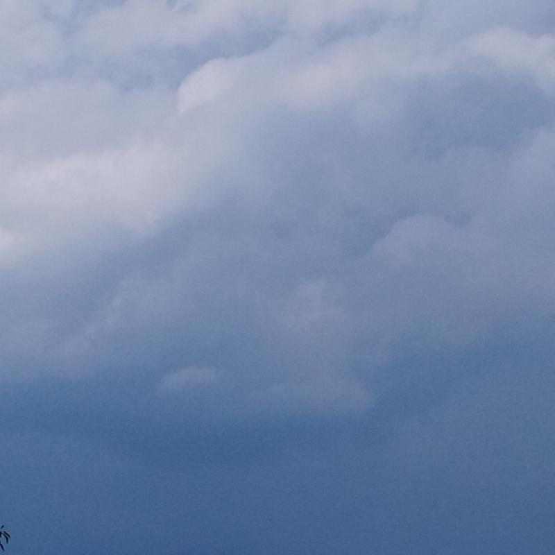 Fotosegnalazione di Forno canavese