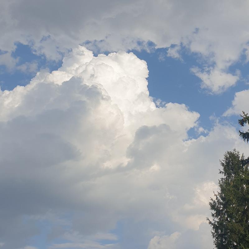 Fotosegnalazione di Gallarate