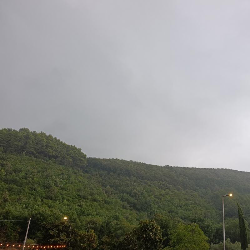 Fotosegnalazione di Formicola
