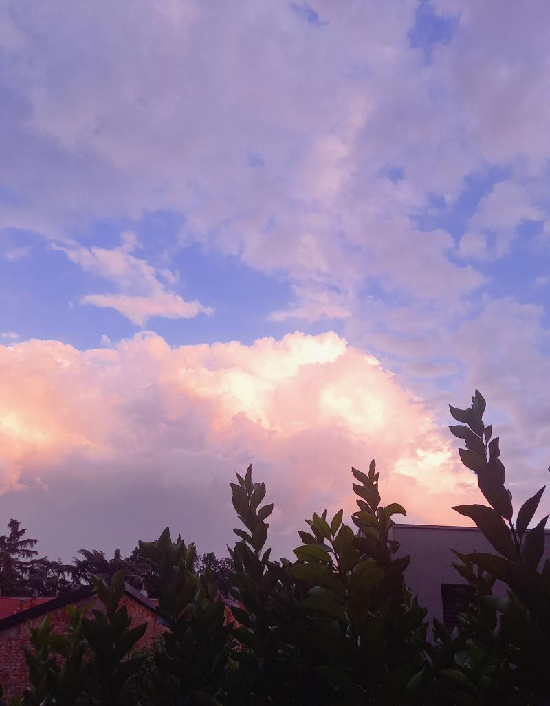 tramonto rosa di fine luglio