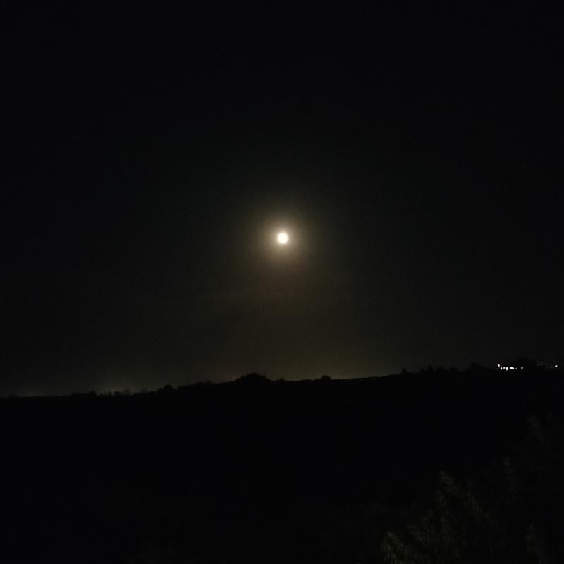 Fotosegnalazione di Vasto