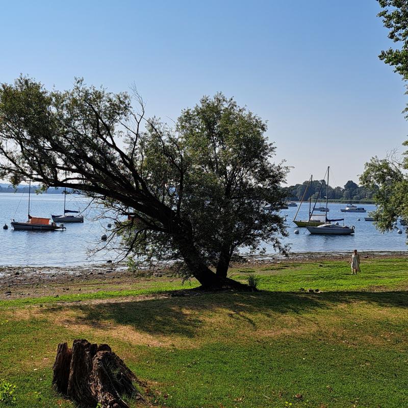 Fotosegnalazione di Arona