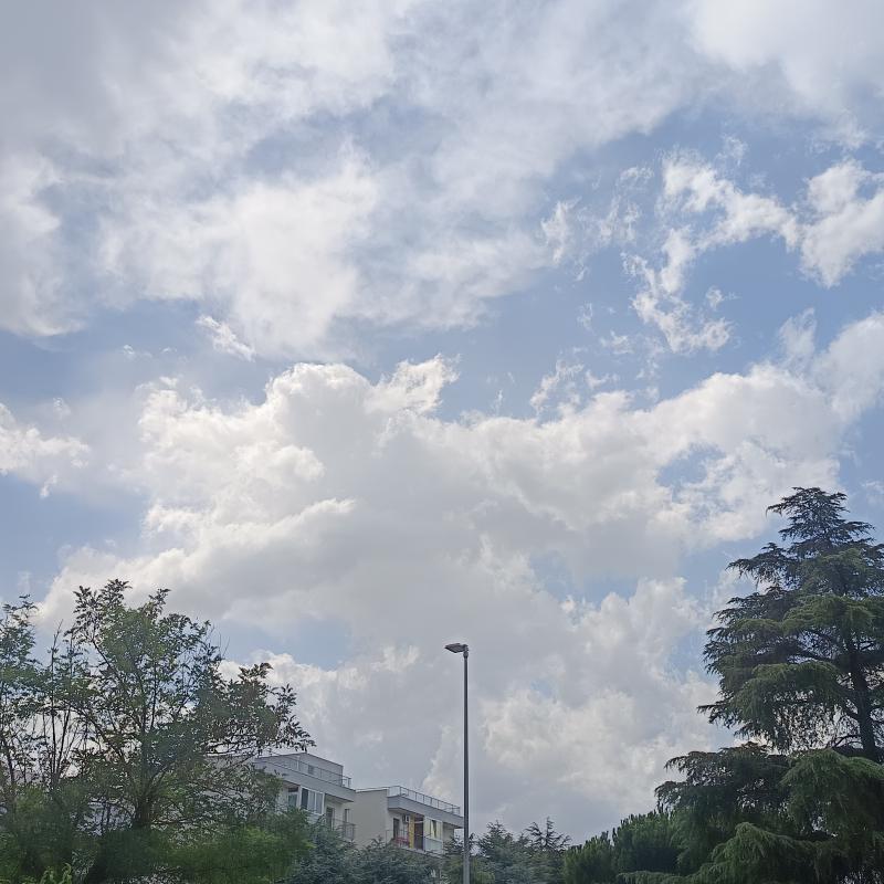 Fotosegnalazione di Noci