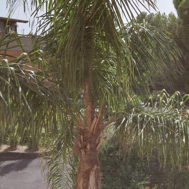 Aiuto c'e' troppo caldo