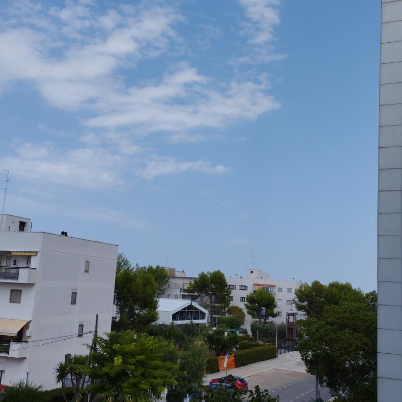 Fotosegnalazione di Bitritto