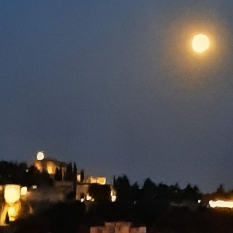 magica luna