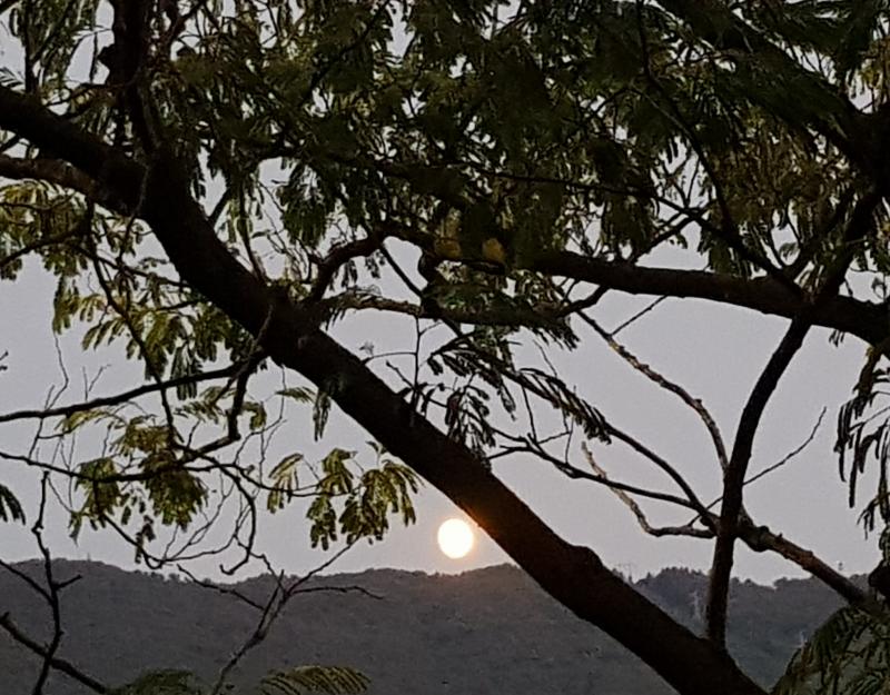 luce della sera