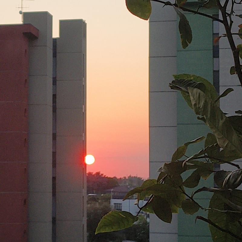 Fotosegnalazione di Forli' ridolfi