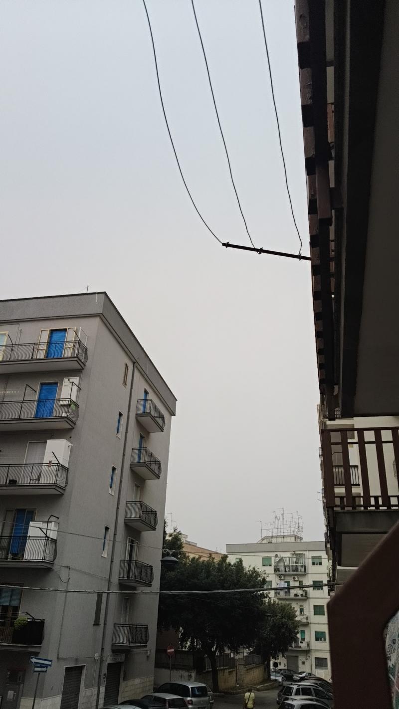 Cielo coperto con pioviggine e nebbia fitta