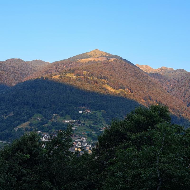 cima rosetta