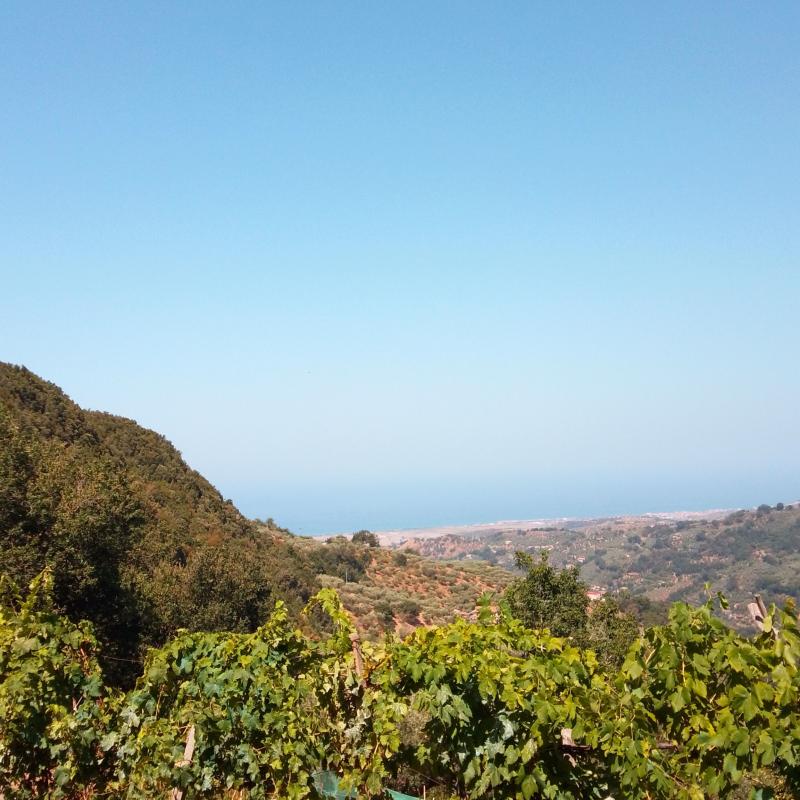Fotosegnalazione di Lago
