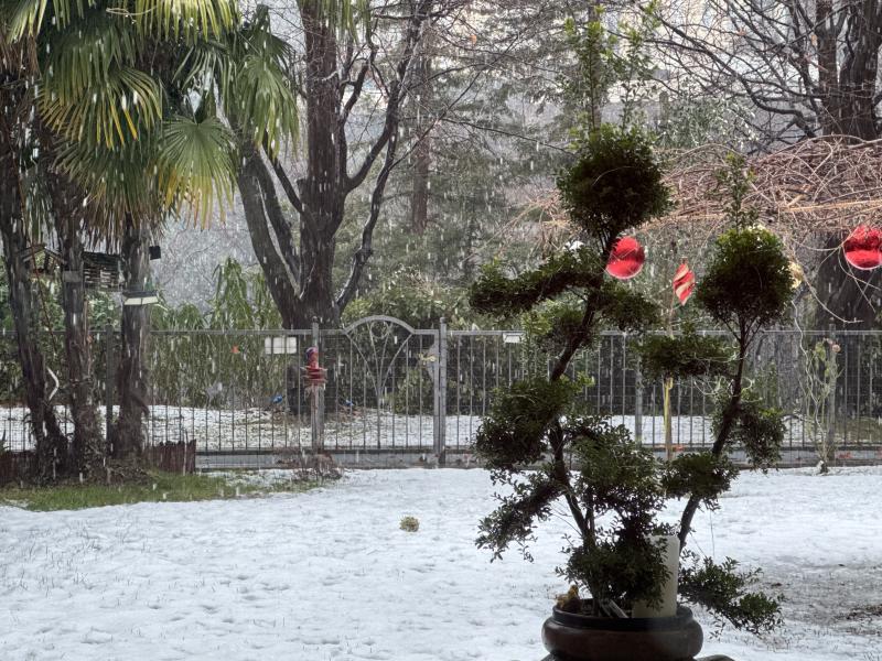 Merano ore 12.30