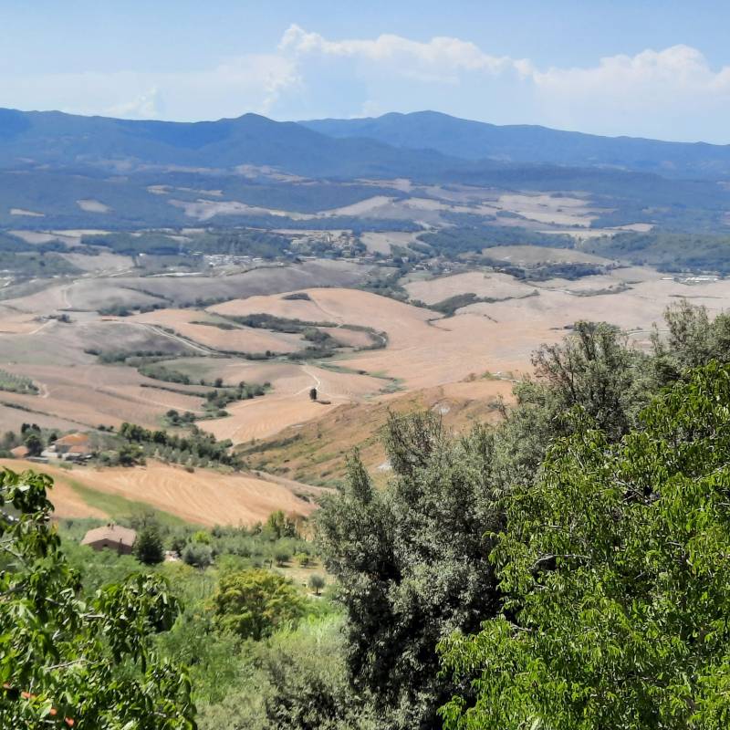 Le colline di Volterra