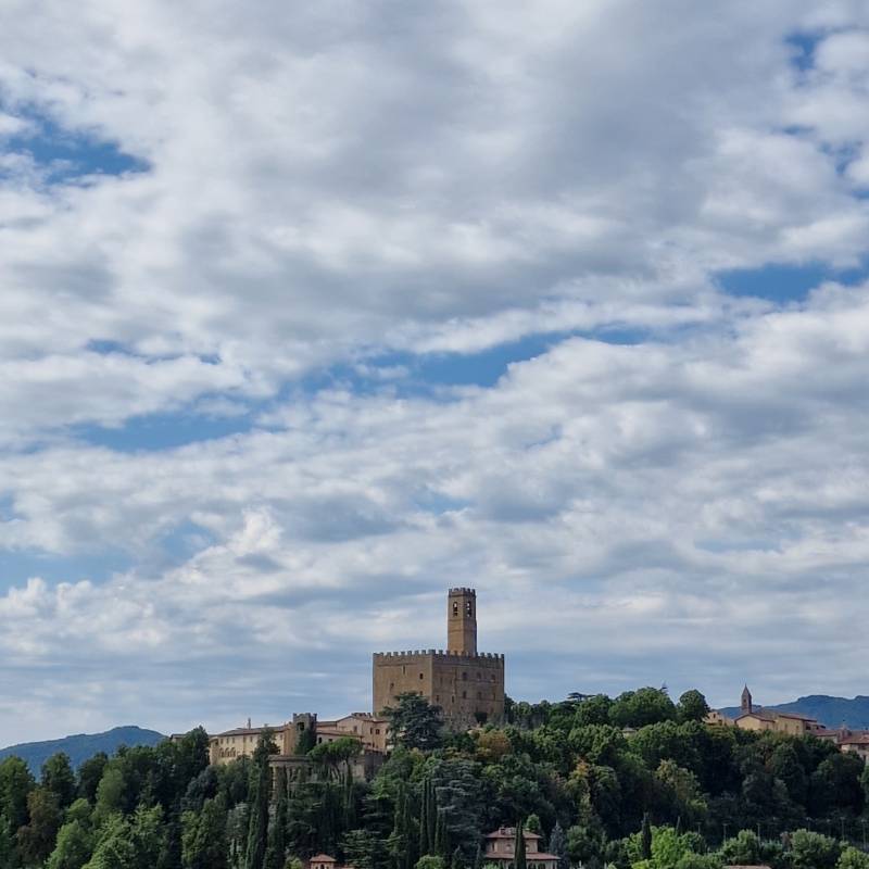 Fotosegnalazione di Ponte a poppi