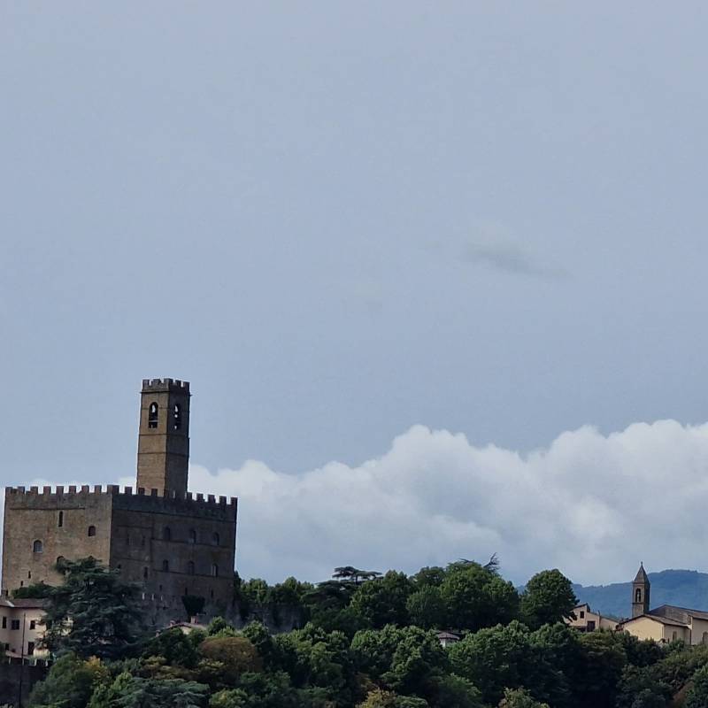 Fotosegnalazione di Ponte a poppi