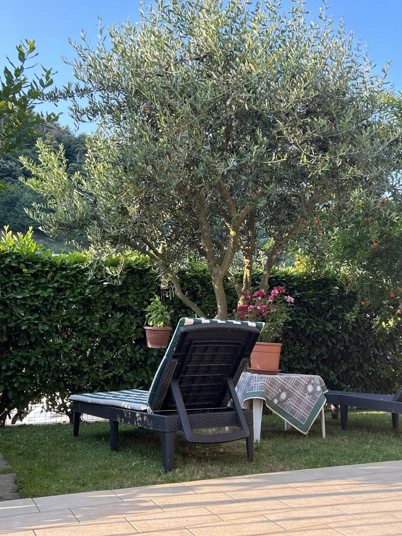 splendida giornata
