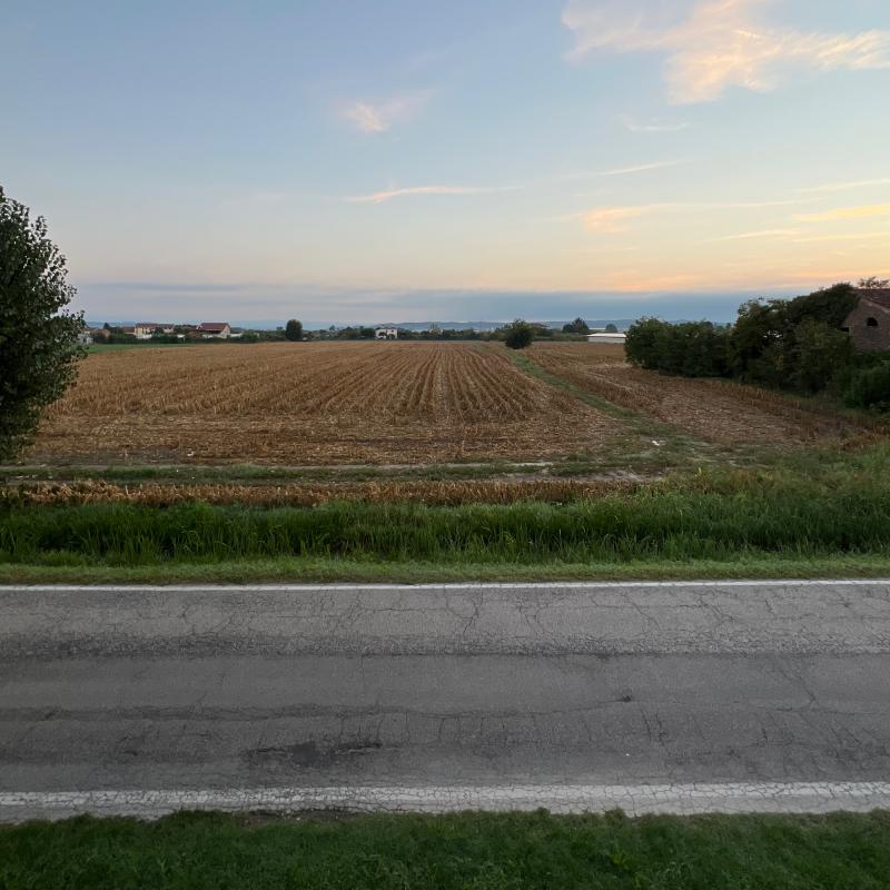 Fotosegnalazione di Cologna veneta