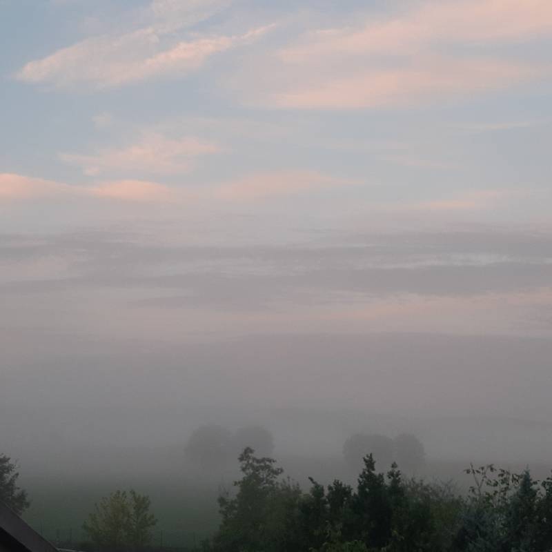 Fotosegnalazione di Monteroni d'arbia