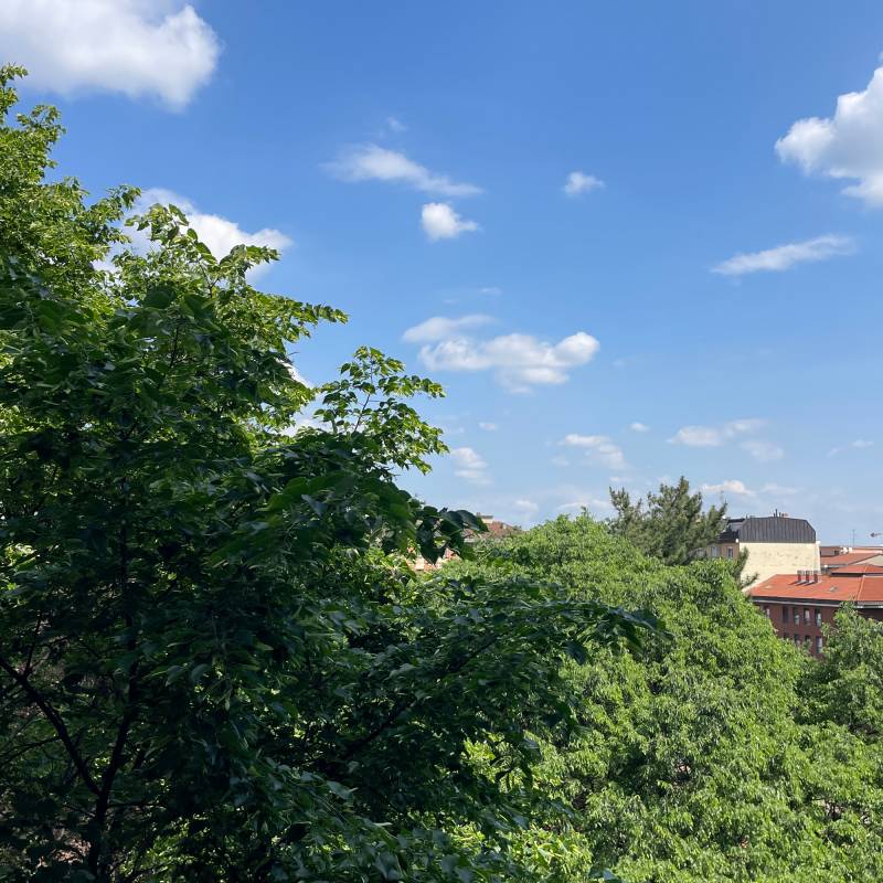 Fotosegnalazione di Milano crescenzago