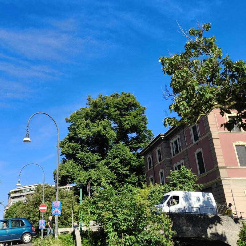 Fotosegnalazione di Milano gorla - precotto