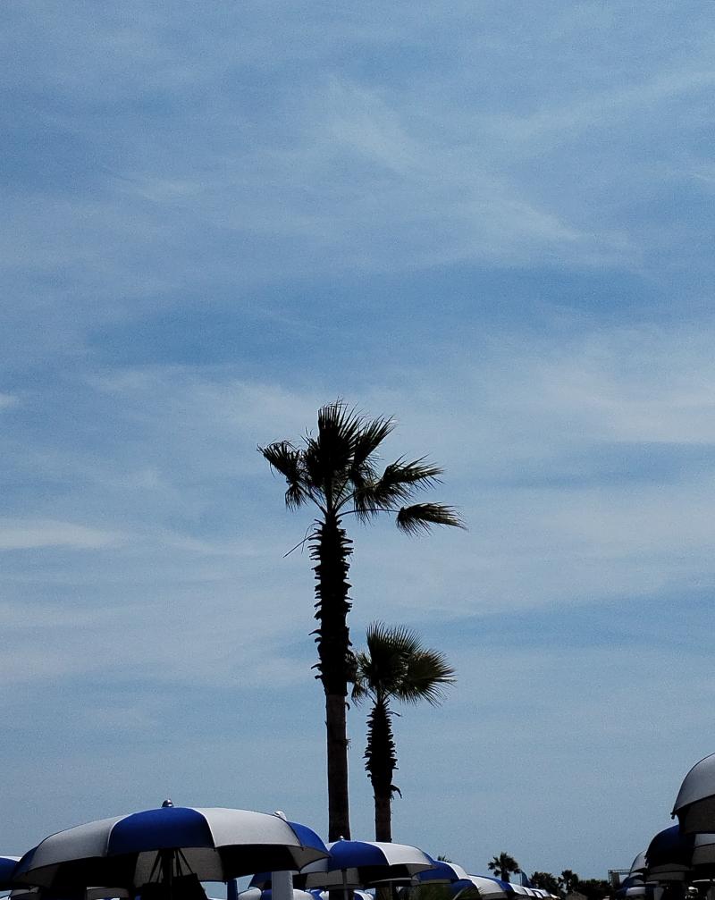 oggi in spiaggia
