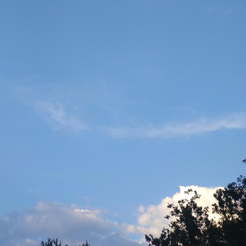 Fotosegnalazione di Bosisio parini
