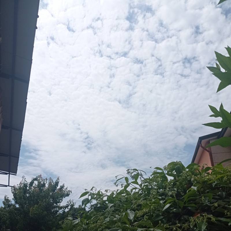 Oggi velato ma caldo.