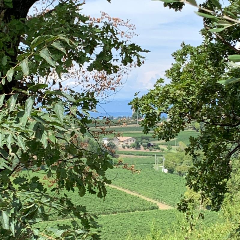 Fotosegnalazione di Pozzolengo