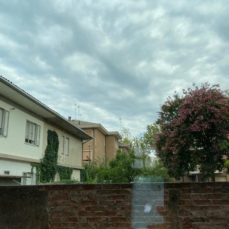 Fotosegnalazione di Rovigo centro urbano