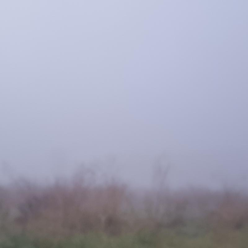 Fotosegnalazione di Roma castel giubileo