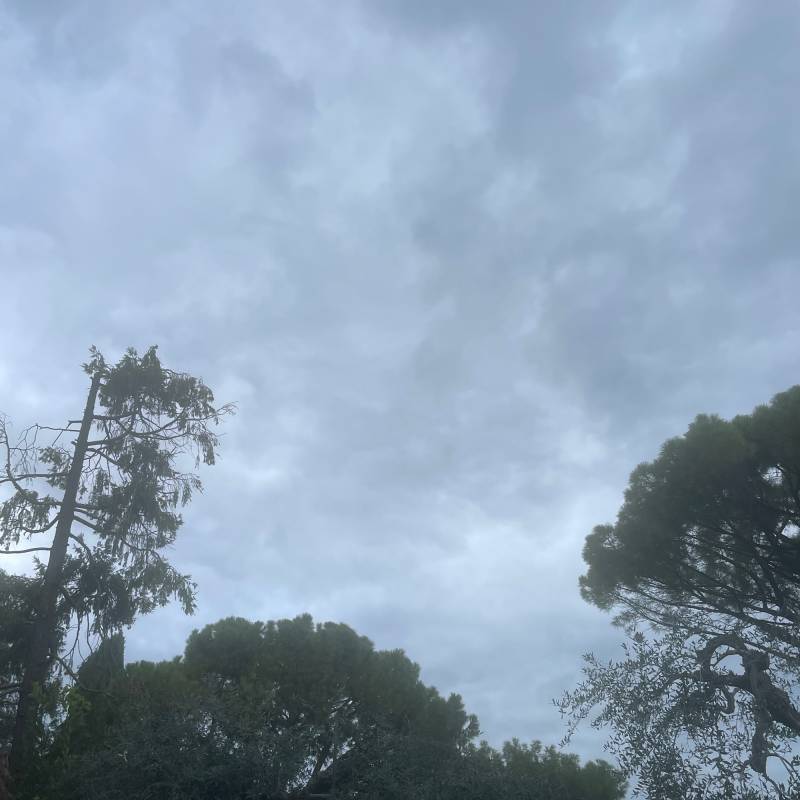Fotosegnalazione di Carbonara di bari