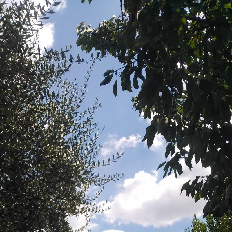 Fotosegnalazione di Campi bisenzio