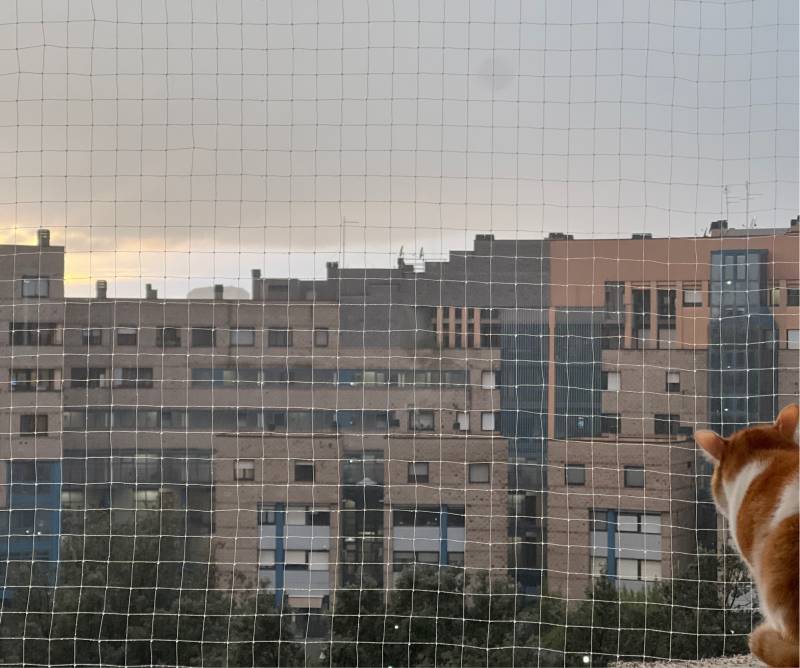 Fotosegnalazione di Roma ardeatino