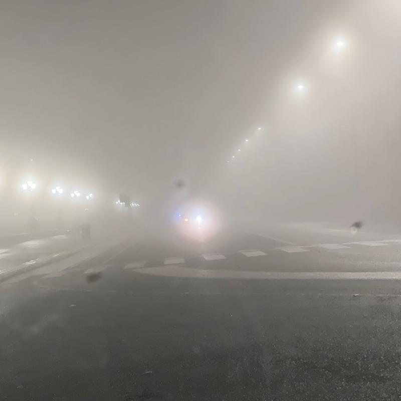 Fotosegnalazione di Bari liberta'